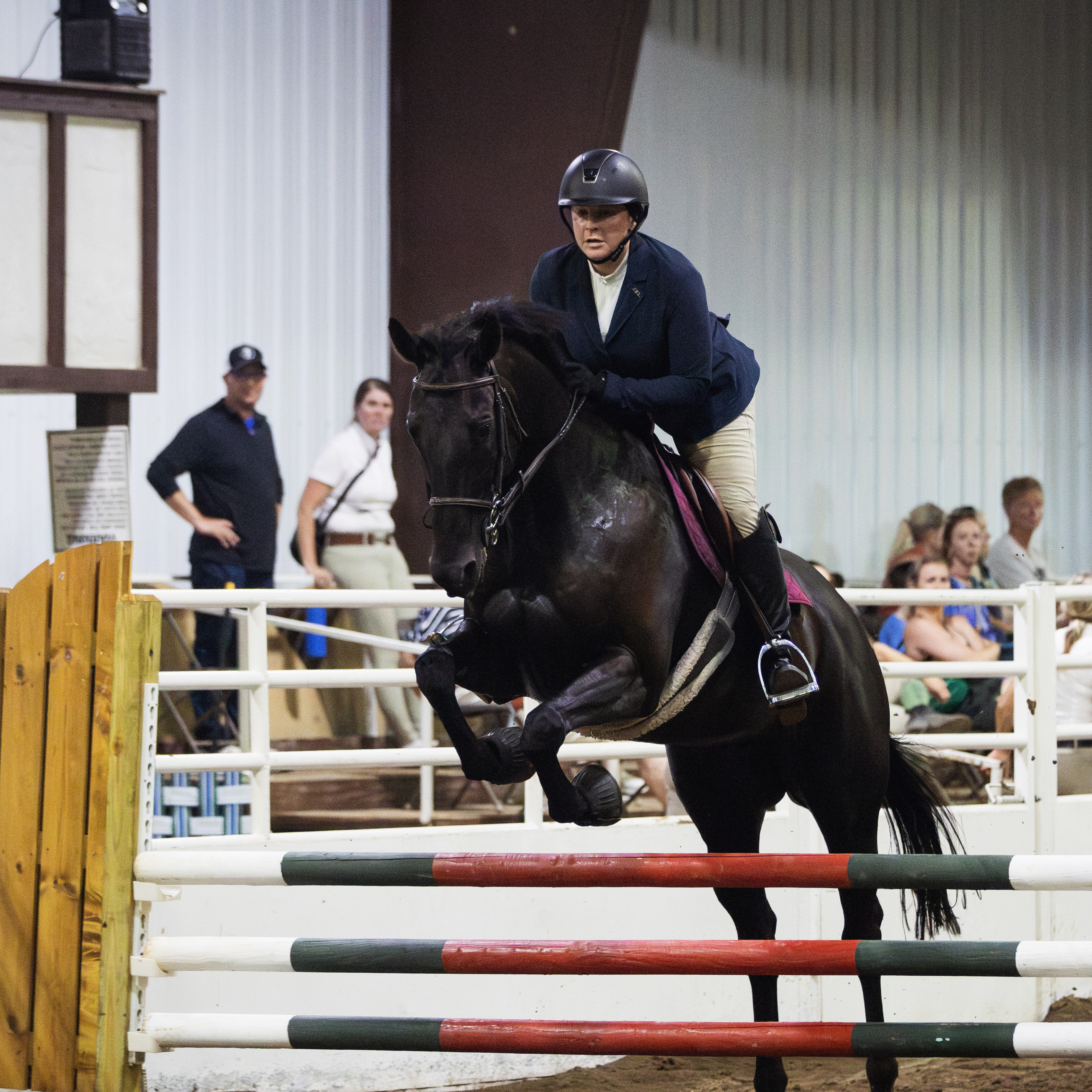 Three-quarter view of a McCadden Show Stables rider jumping a gorgeous black steed named Walter