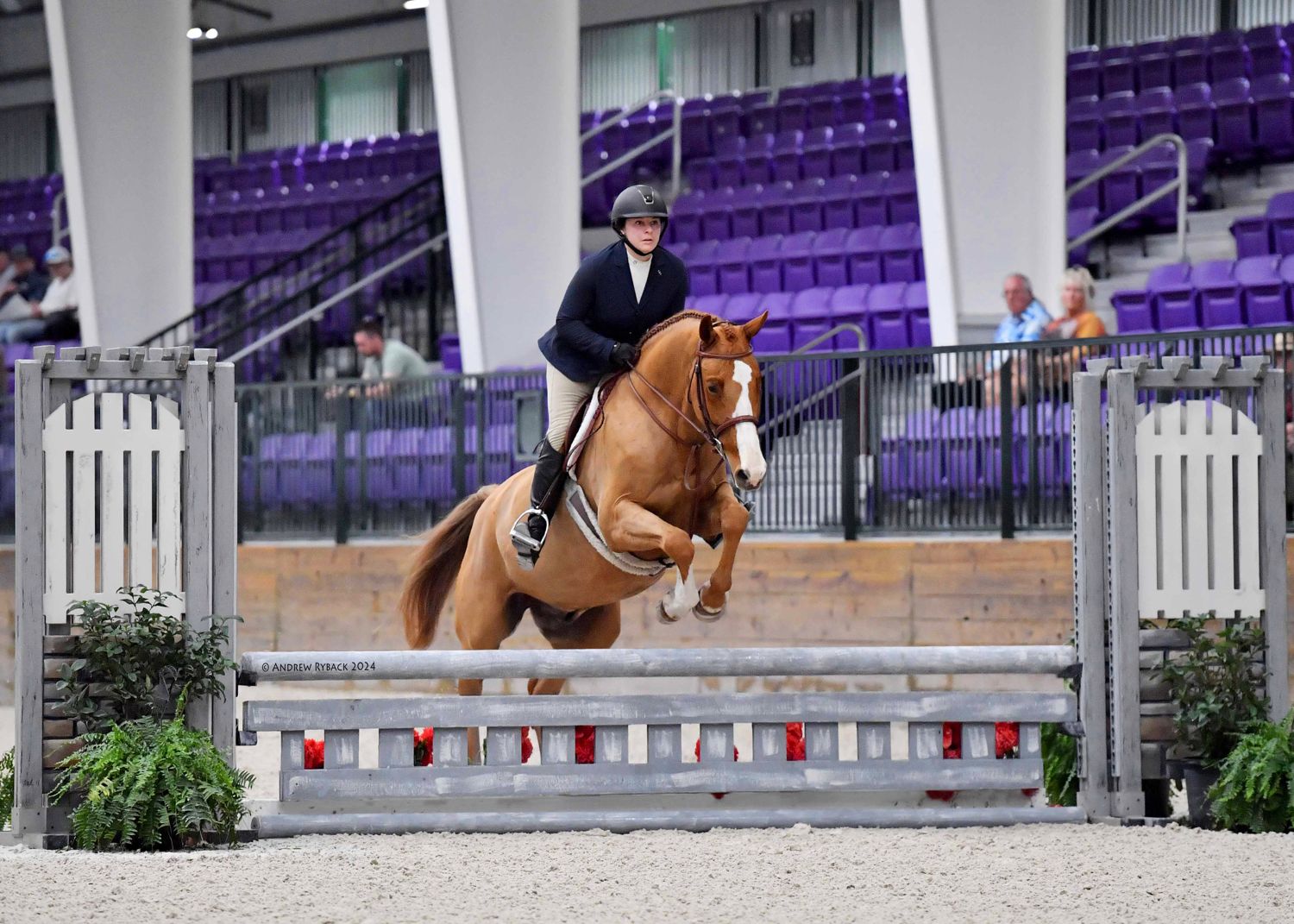 Maria jumping Porkchop at the World Equestrian Center in Florida